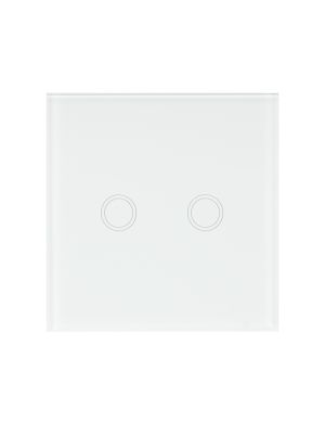 Switch with touch and dimmer