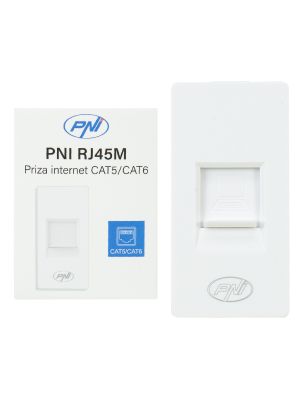 PNI internet socket