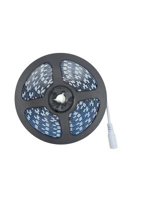 5M W5050 cold white led strip with remote control