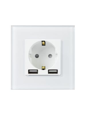 PNI WP103 simple built-in socket with glass frame and 2 USB ports